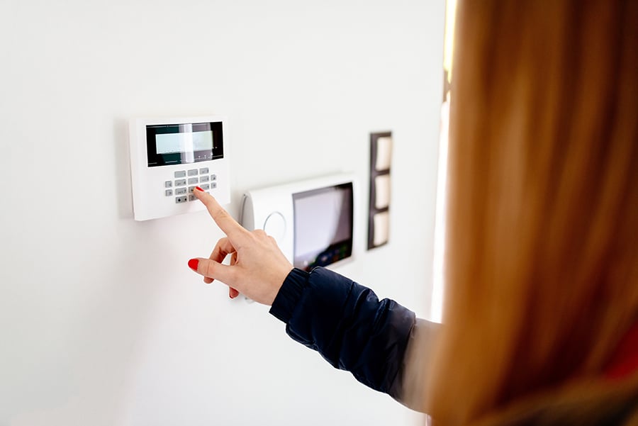 Alarme de maison avec animal